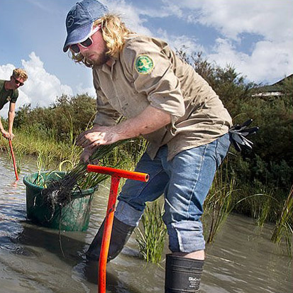 GulfCorps members build a living shoreline.